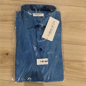 Collars & Co. Blue Striped Men's Polo Shirt